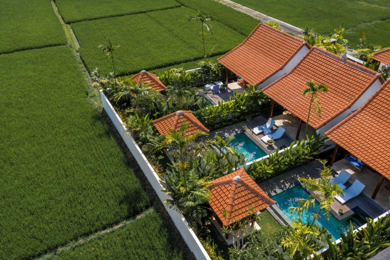 Sawah Villas Ουμπούντ Εξωτερικό φωτογραφία
