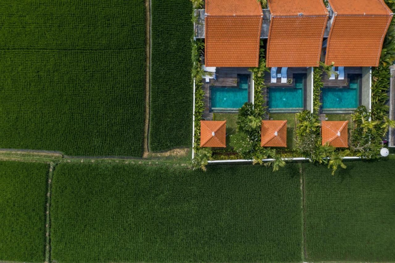Sawah Villas Ουμπούντ Εξωτερικό φωτογραφία