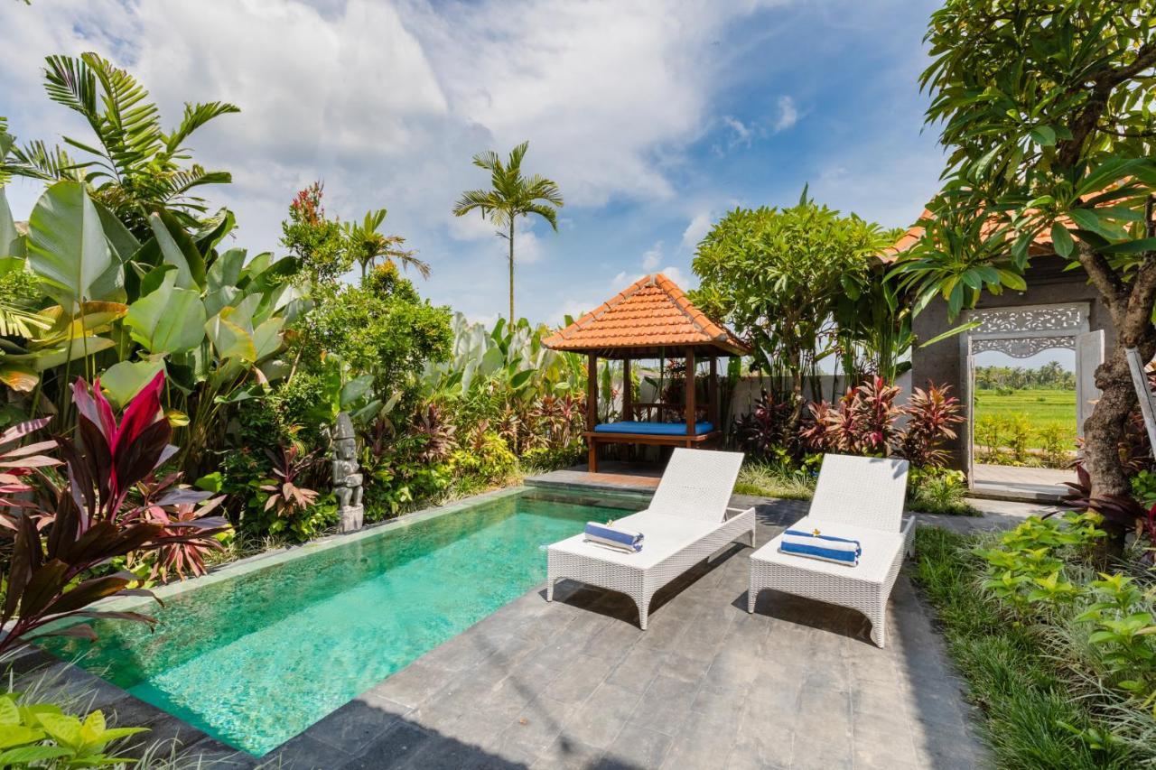 Sawah Villas Ουμπούντ Εξωτερικό φωτογραφία